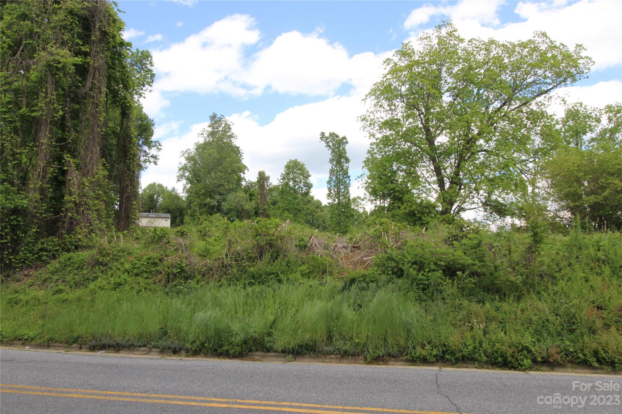 V/l Ridge Street Northwest Lenoir, NC 28645 - Photo 3 of 3 a view of a yard