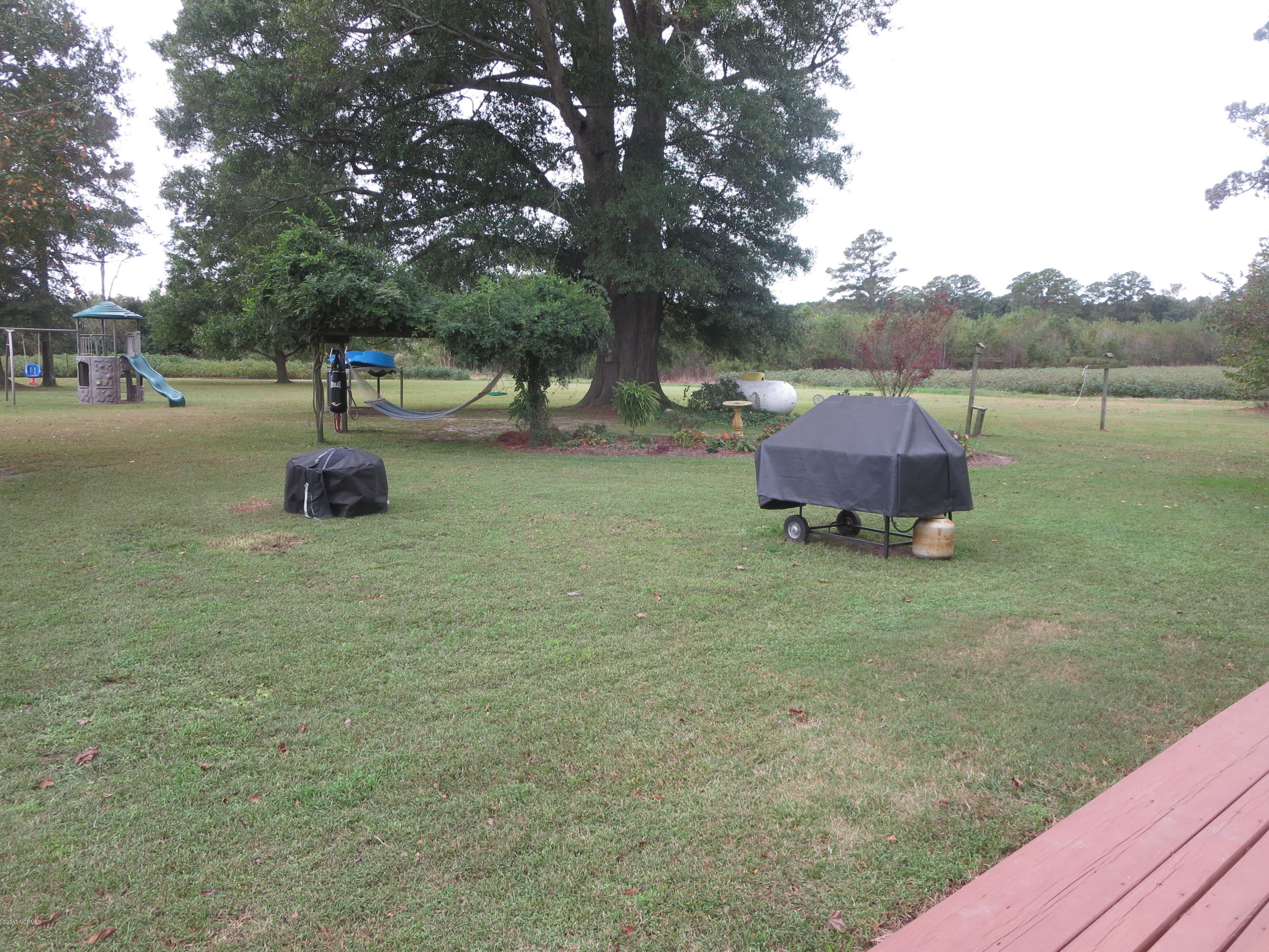 8488 Old 125 Road Scotland Neck, NC 27874 - Photo 46 of 69 back yard