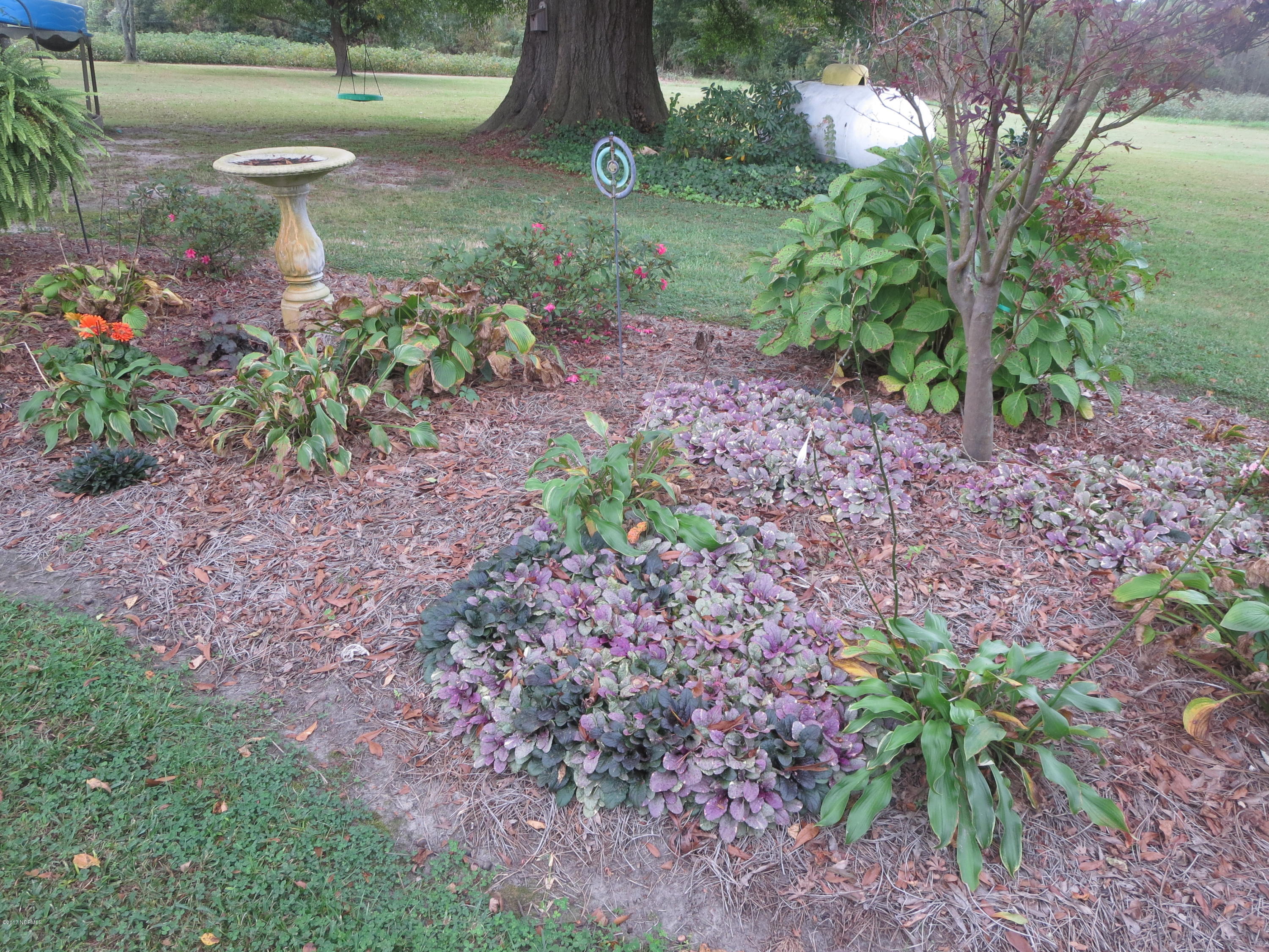 8488 Old 125 Road Scotland Neck, NC 27874 - Photo 56 of 69 garden area