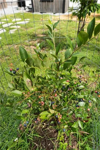 $550,000 | 1224 Texas Valley Road Northwest, Rome, GA 30165