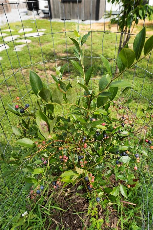 1224 Texas Valley Road Northwest Rome, GA 30165 - Photo 59 of 79