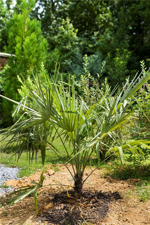 1224 Texas Valley Road Northwest Rome, GA 30165 - Photo 60 of 79