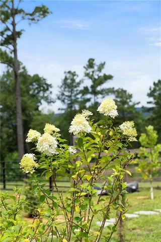 $550,000 | 1224 Texas Valley Road Northwest, Rome, GA 30165