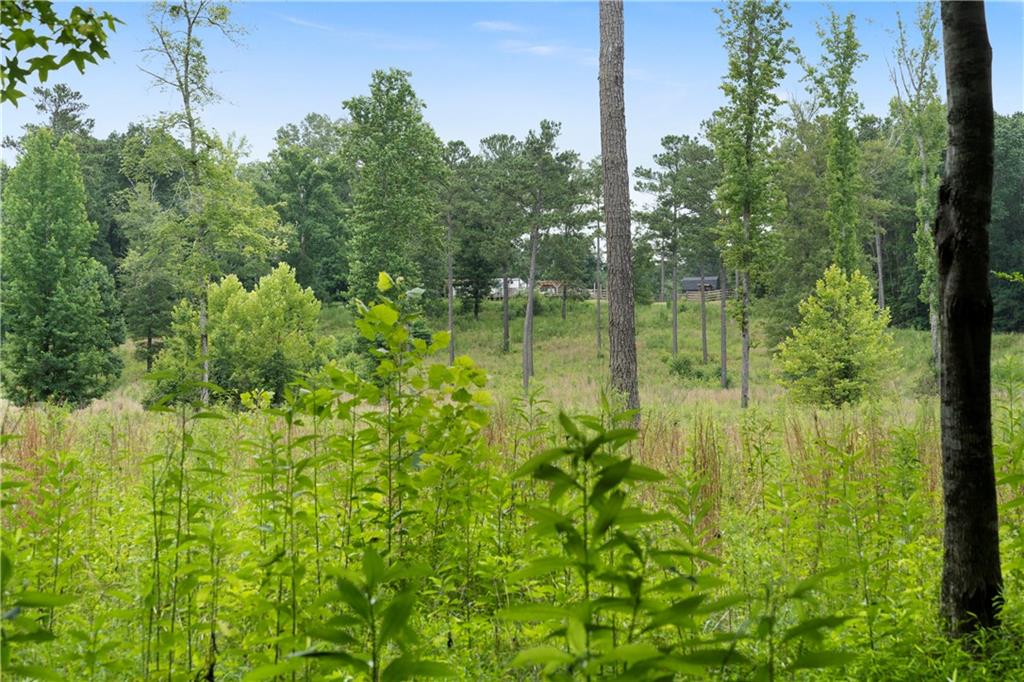 1224 Texas Valley Road Northwest Rome, GA 30165 - Photo 66 of 79