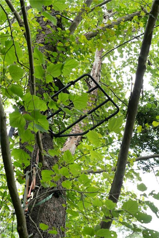 1224 Texas Valley Road Northwest Rome, GA 30165 - Photo 68 of 79