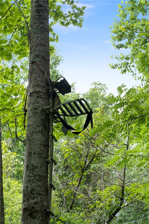 1224 Texas Valley Road Northwest Rome, GA 30165 - Photo 69 of 79