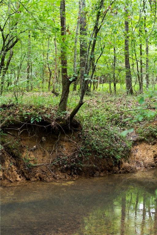 1224 Texas Valley Road Northwest Rome, GA 30165 - Photo 72 of 79