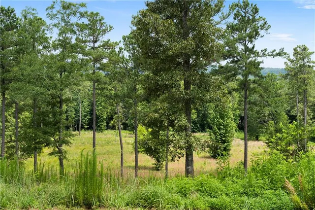 $550,000 | 1224 Texas Valley Road Northwest, Rome, GA 30165