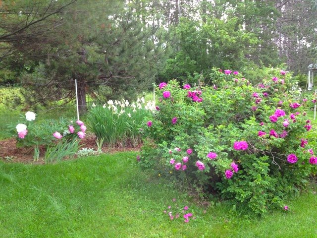 113 Seamans Road New London, NH 03257 - Photo 19 of 22
