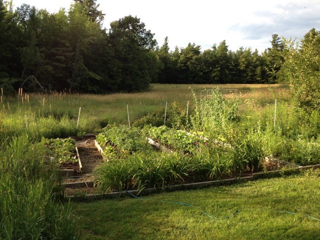 113 Seamans Road New London, NH 03257 - Photo 20 of 22