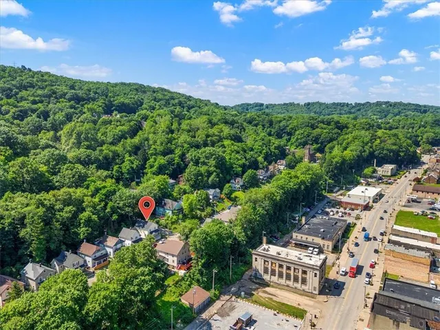 a view of a yard with plants and a bench