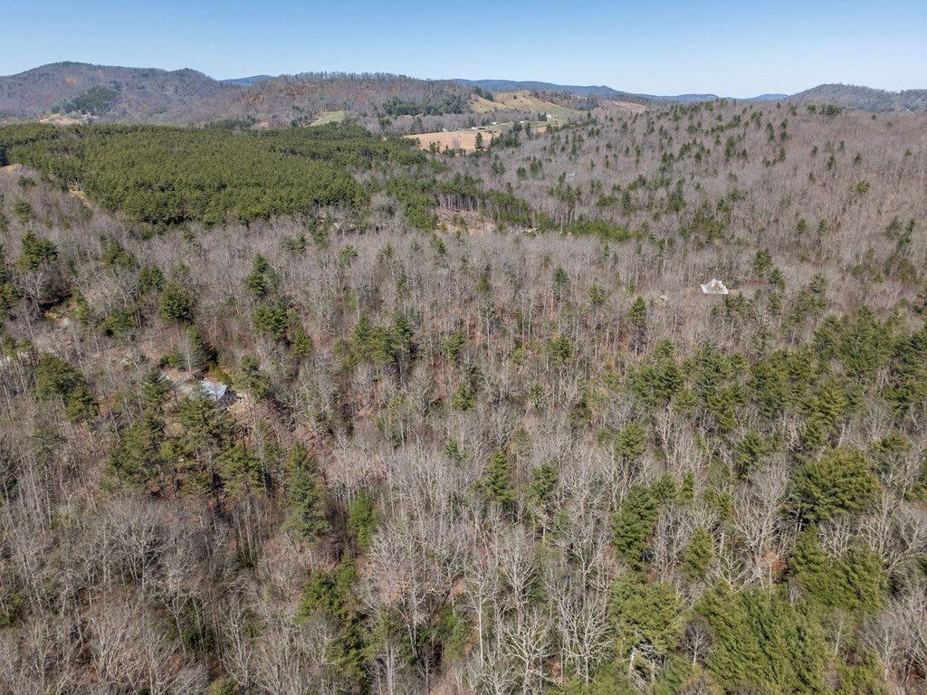 Lot 12 Ridge Line Trail, Unit 12 Independence, VA 24348 - Photo 55 of 66 Gallery Image 55