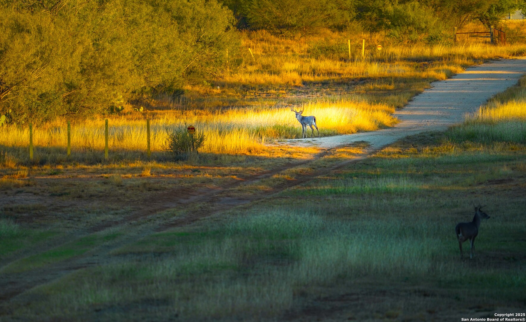 9239 Fm 133 Cotulla, TX 78014 - Photo 109 of 120