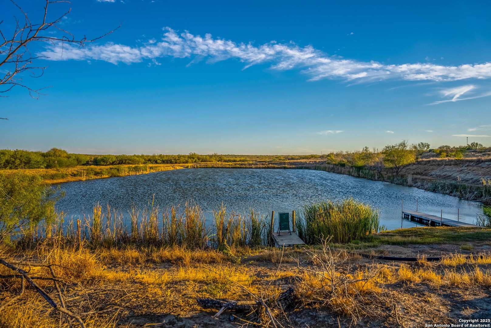 9239 Fm 133 Cotulla, TX 78014 - Photo 17 of 120