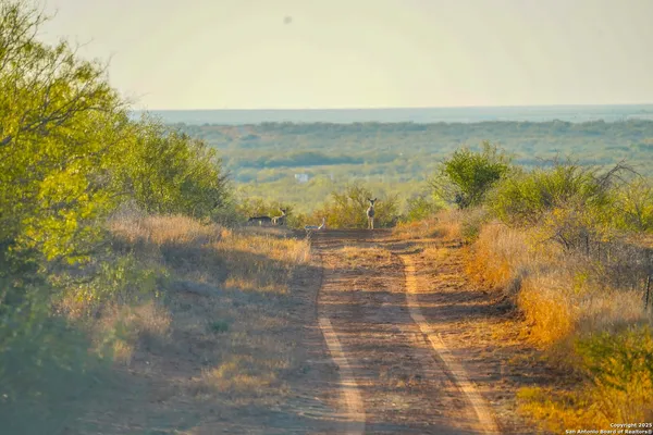 $18,995,000 | 9239 Fm 133, Cotulla, TX 78014