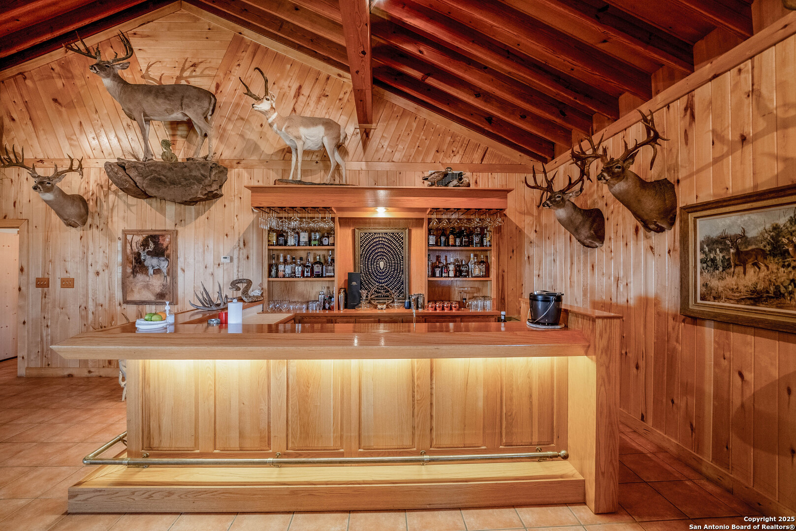 9239 Fm 133 Cotulla, TX 78014 - Photo 29 of 120