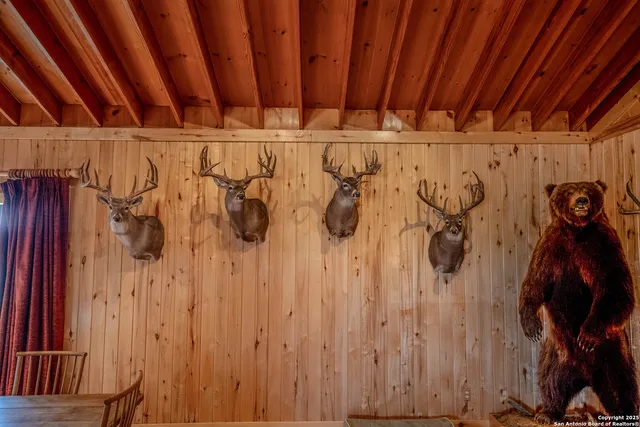 $18,995,000 | 9239 Fm 133, Cotulla, TX 78014