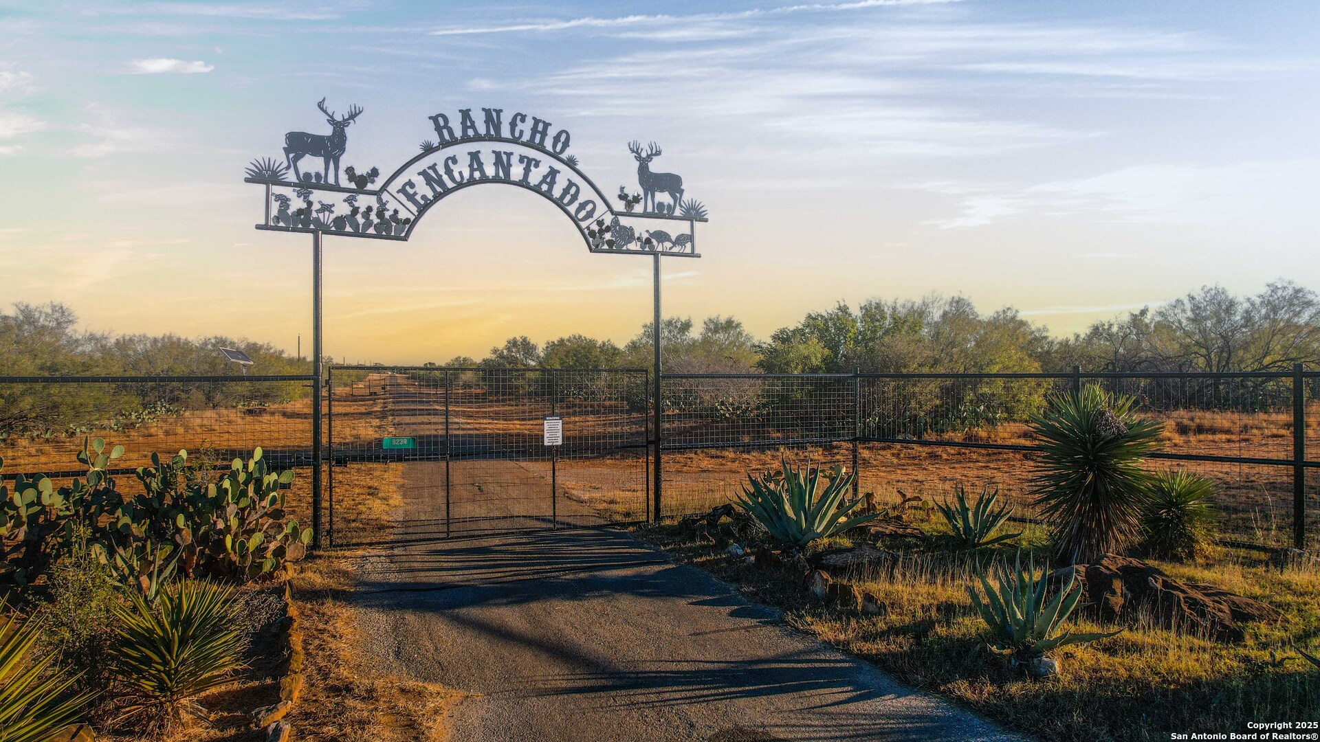 9239 Fm 133 Cotulla, TX 78014 - Photo 3 of 120