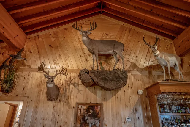 $18,995,000 | 9239 Fm 133, Cotulla, TX 78014