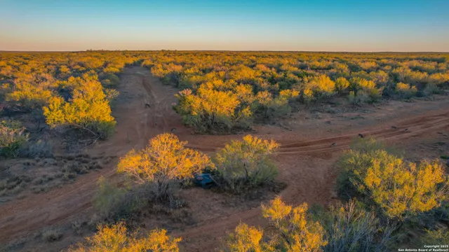 $18,995,000 | 9239 Fm 133, Cotulla, TX 78014