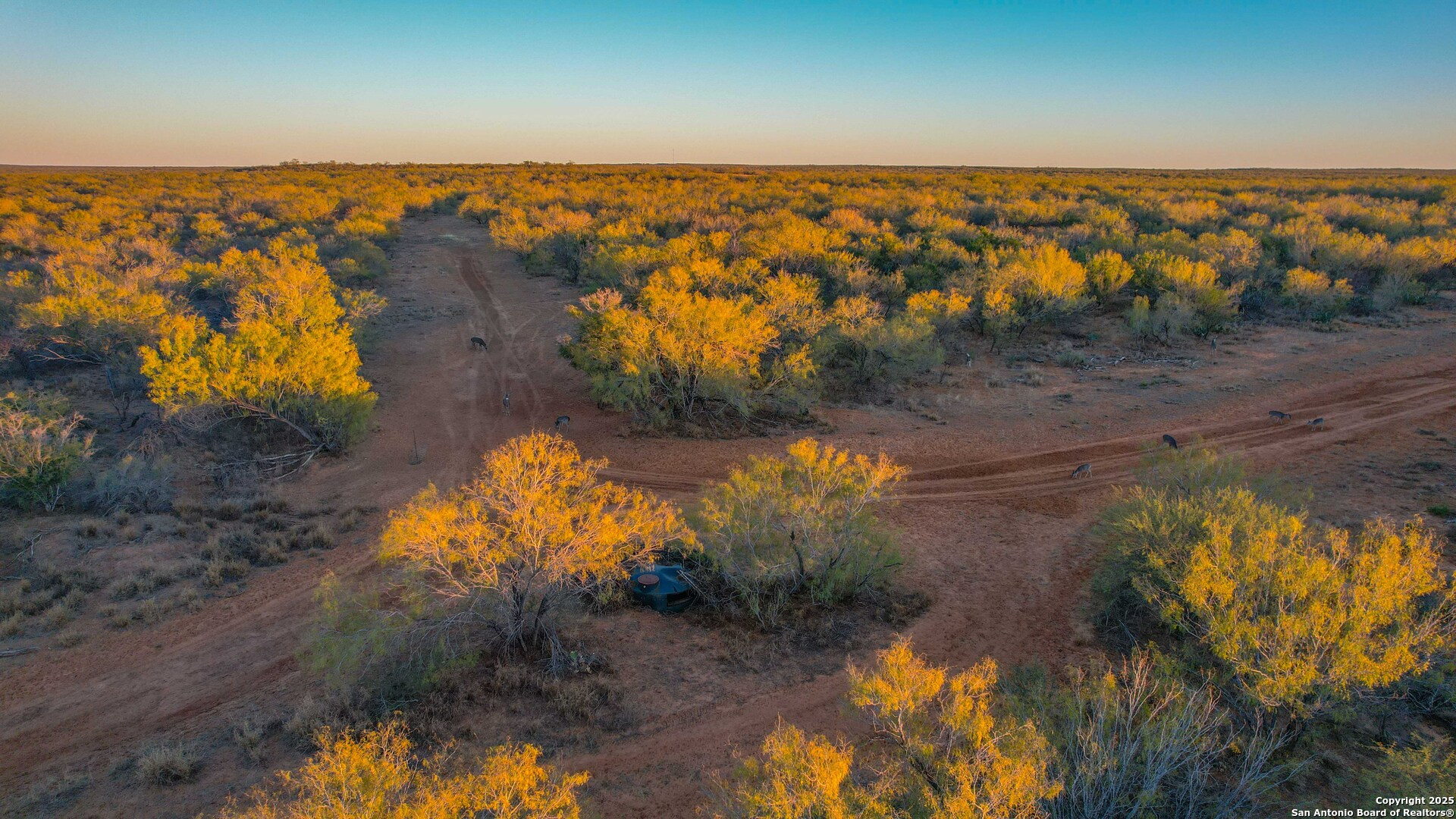 9239 Fm 133 Cotulla, TX 78014 - Photo 64 of 120