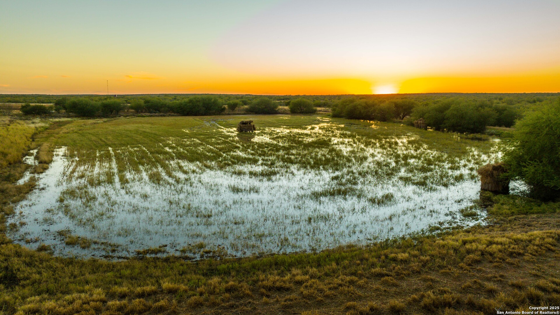 9239 Fm 133 Cotulla, TX 78014 - Photo 75 of 120