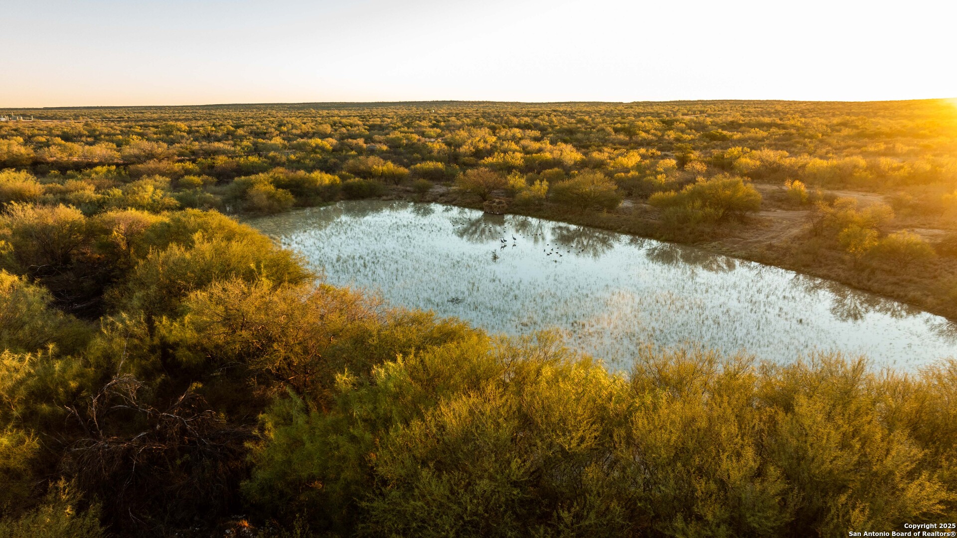 9239 Fm 133 Cotulla, TX 78014 - Photo 76 of 120