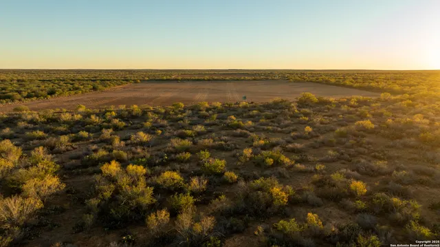 $18,995,000 | 9239 Fm 133, Cotulla, TX 78014