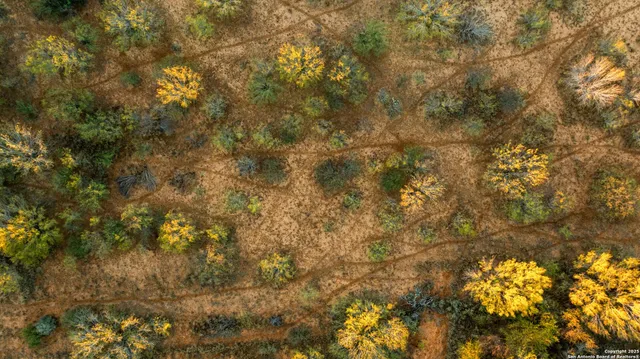 $18,995,000 | 9239 Fm 133, Cotulla, TX 78014