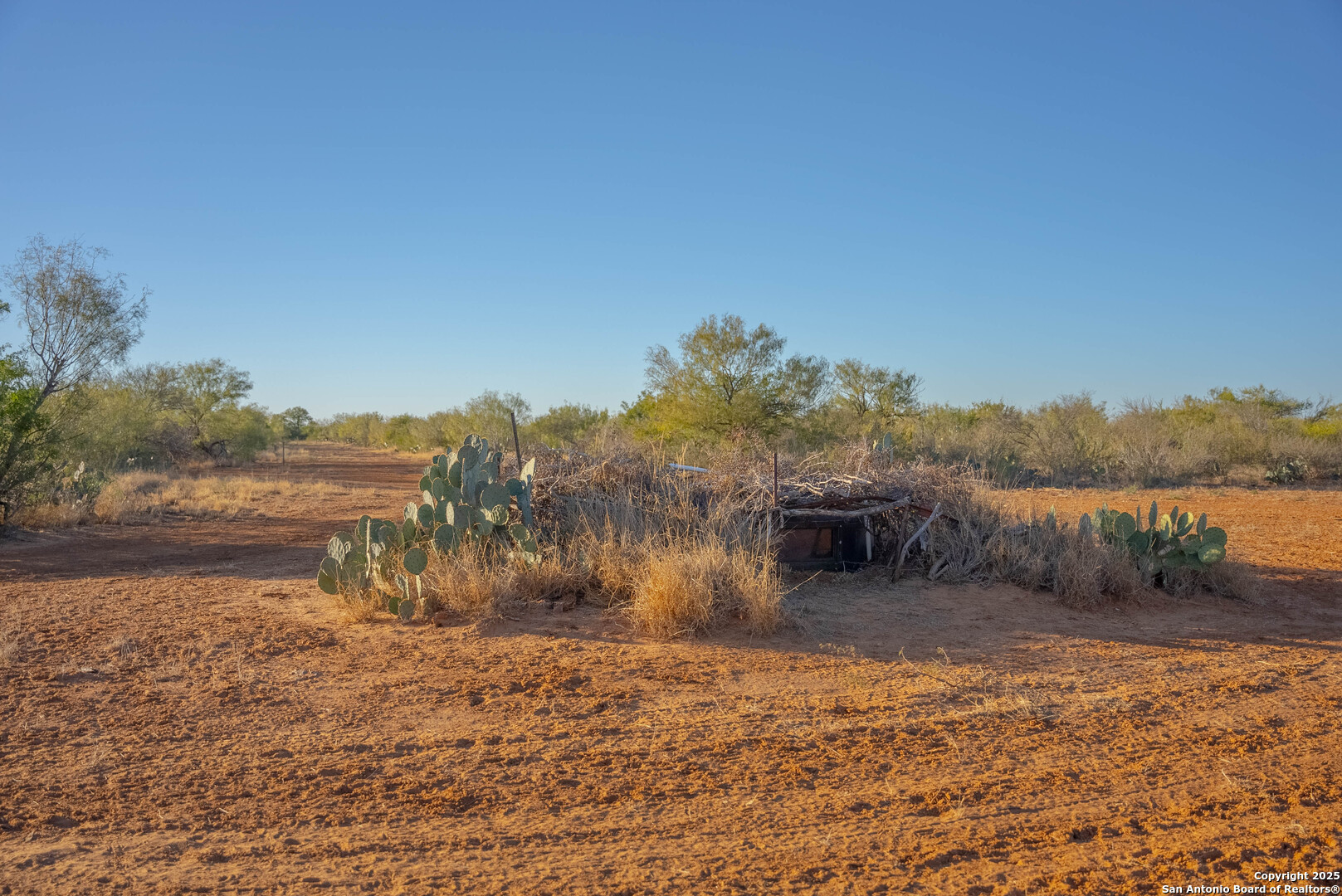 9239 Fm 133 Cotulla, TX 78014 - Photo 85 of 120