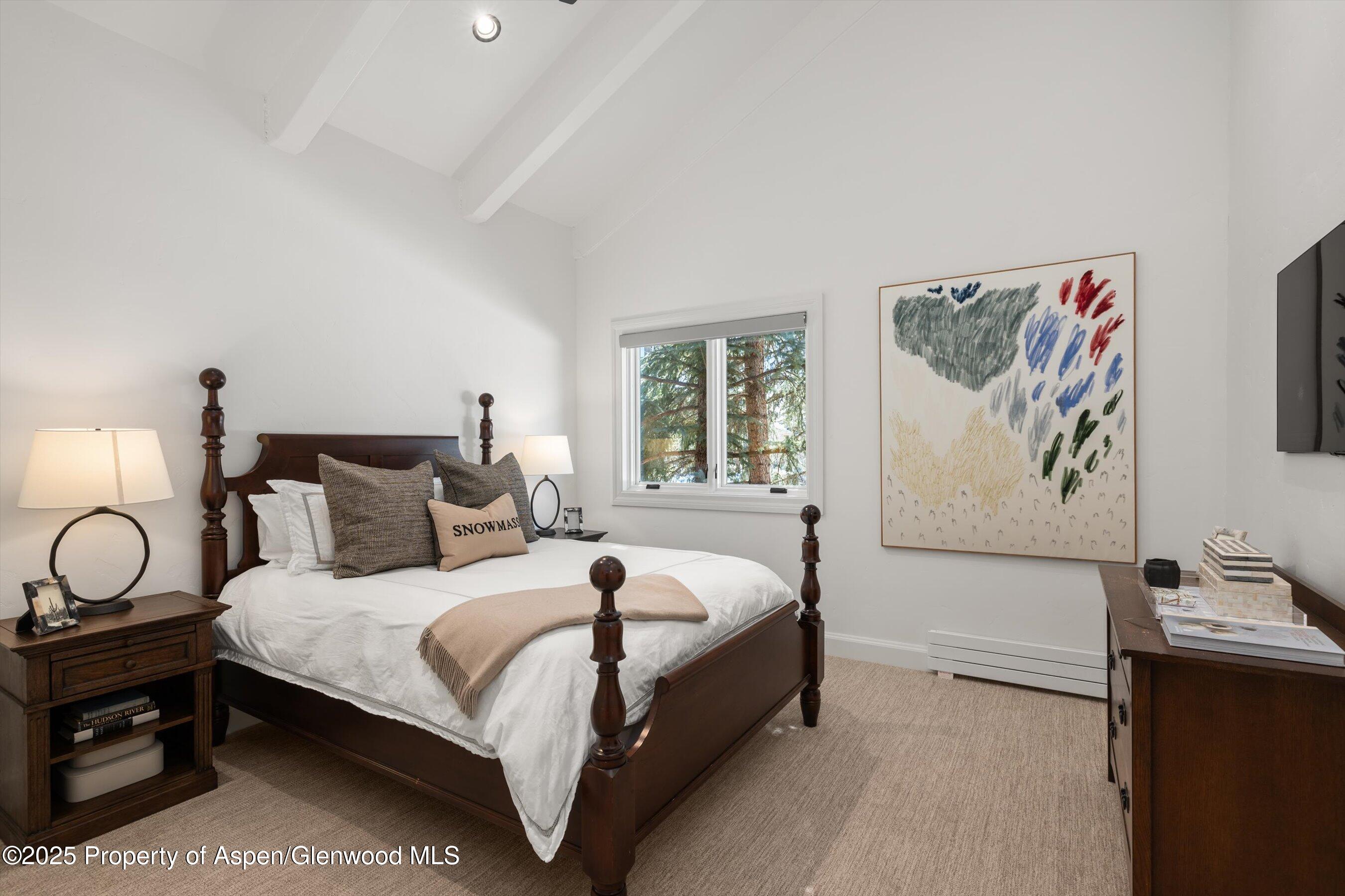 770 Ridge Road, Unit 16 Snowmass Village, CO 81615 - Photo 21 of 37 33-770Ridge16_25022833