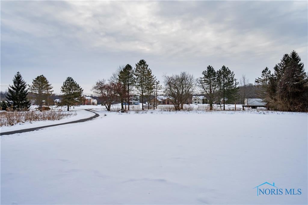10540 Ramm Road Whitehouse, OH 43571 - Photo 36 of 44 Gallery Image 36