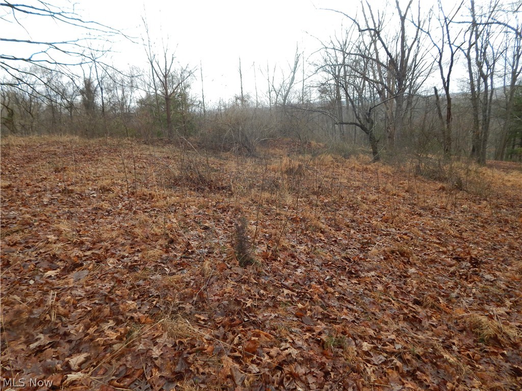 0 Freeport Ridge Road Walker, WV 26180 - Photo 9 of 15