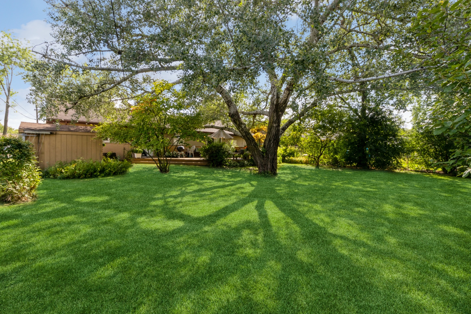 540 Newark Lane Hoffman Estates, IL 60169 - Photo 10 of 10 a view of green field with trees