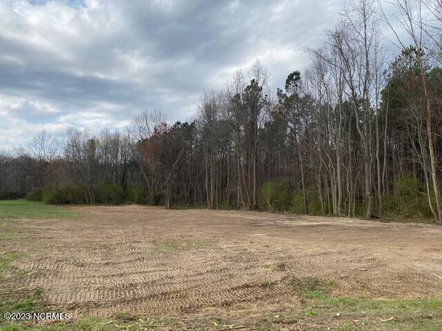 1042 Cobble Ridge Road Nashville, NC 27856 - Photo 1 of 1 Cobble Ridge pic 2 of 2 lots