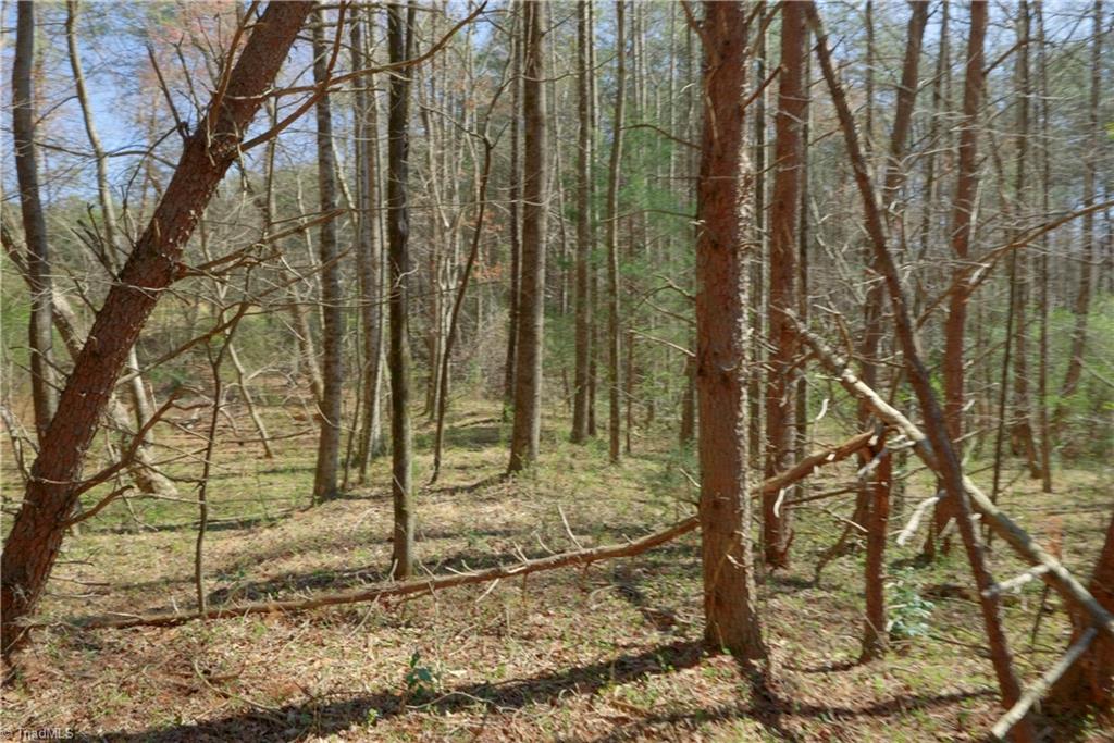 1 Old Mill Road Pinnacle, NC 27043 - Photo 12 of 27
