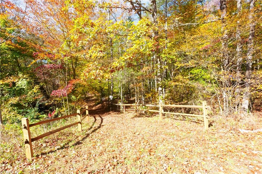 3 Old Mill Road Pinnacle, NC 27043 - Photo 17 of 22