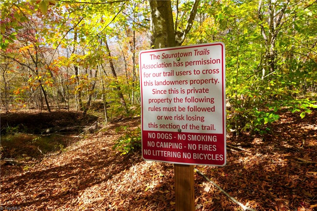 3 Old Mill Road Pinnacle, NC 27043 - Photo 19 of 22