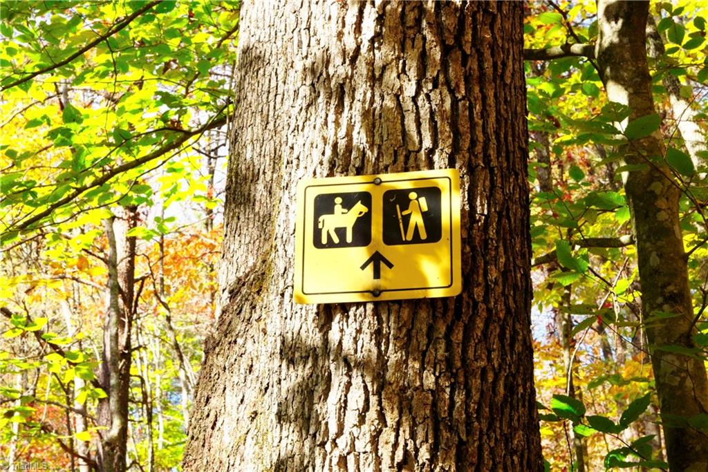 3 Old Mill Road Pinnacle, NC 27043 - Photo 20 of 22