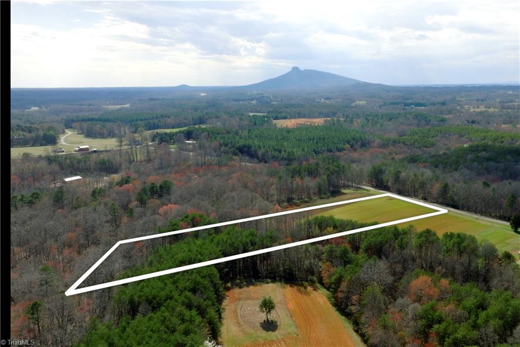 1 Old Mill Road Pinnacle, NC 27043 - Photo 3 of 27