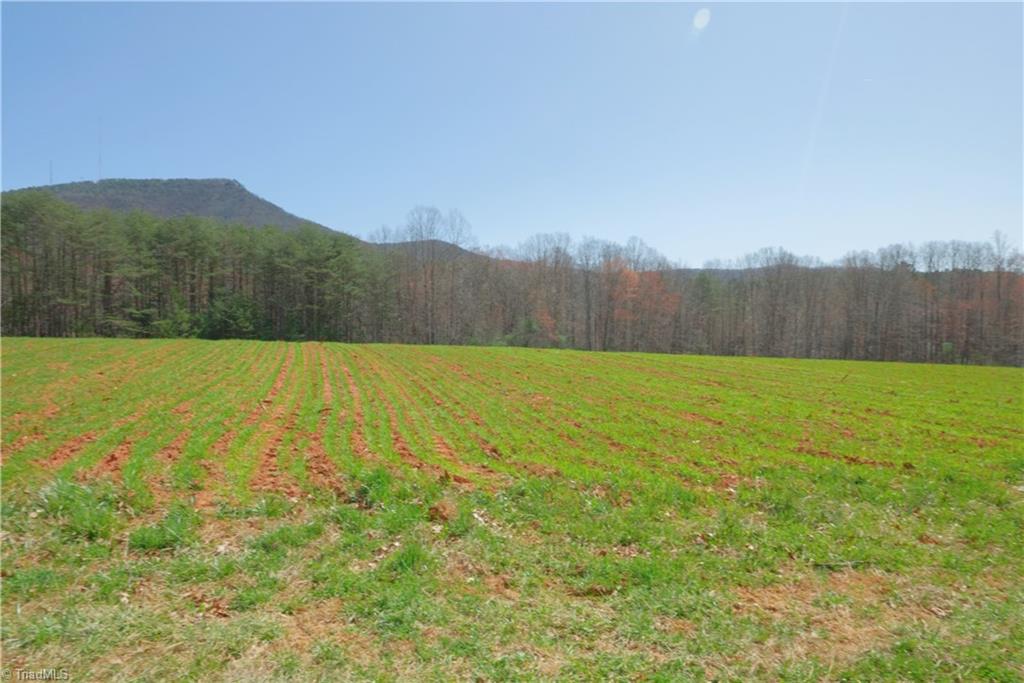 3 Old Mill Road Pinnacle, NC 27043 - Photo 4 of 22