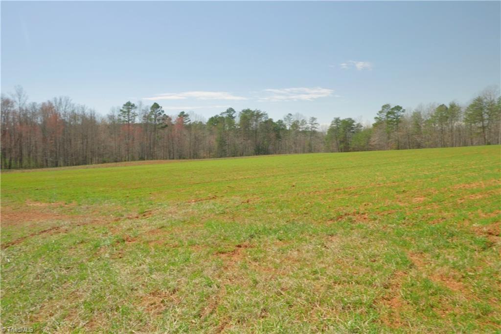 1 Old Mill Road Pinnacle, NC 27043 - Photo 6 of 27