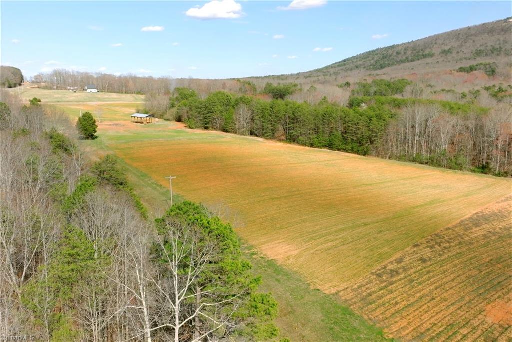 1 Old Mill Road Pinnacle, NC 27043 - Photo 8 of 27