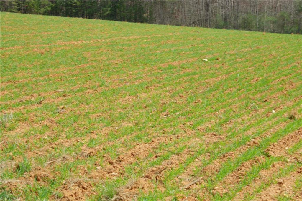 3 Old Mill Road Pinnacle, NC 27043 - Photo 10 of 22