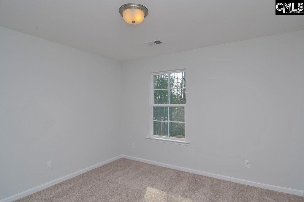 356 Hollow Cove Road Chapin, SC 29036 - Photo 26 of 29