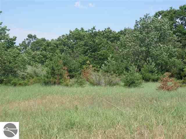 0 Graves Road, Unit LOT: A Copemish, MI 49625 - Photo 9 of 11