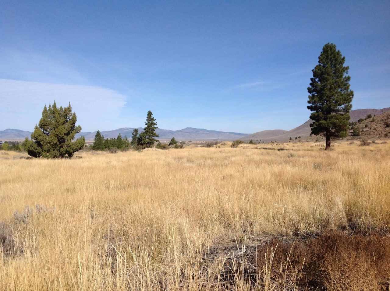 134 Smithneck Road, Unit 2A Loyalton, CA 96118 - Photo 8 of 8 Gallery Image 8