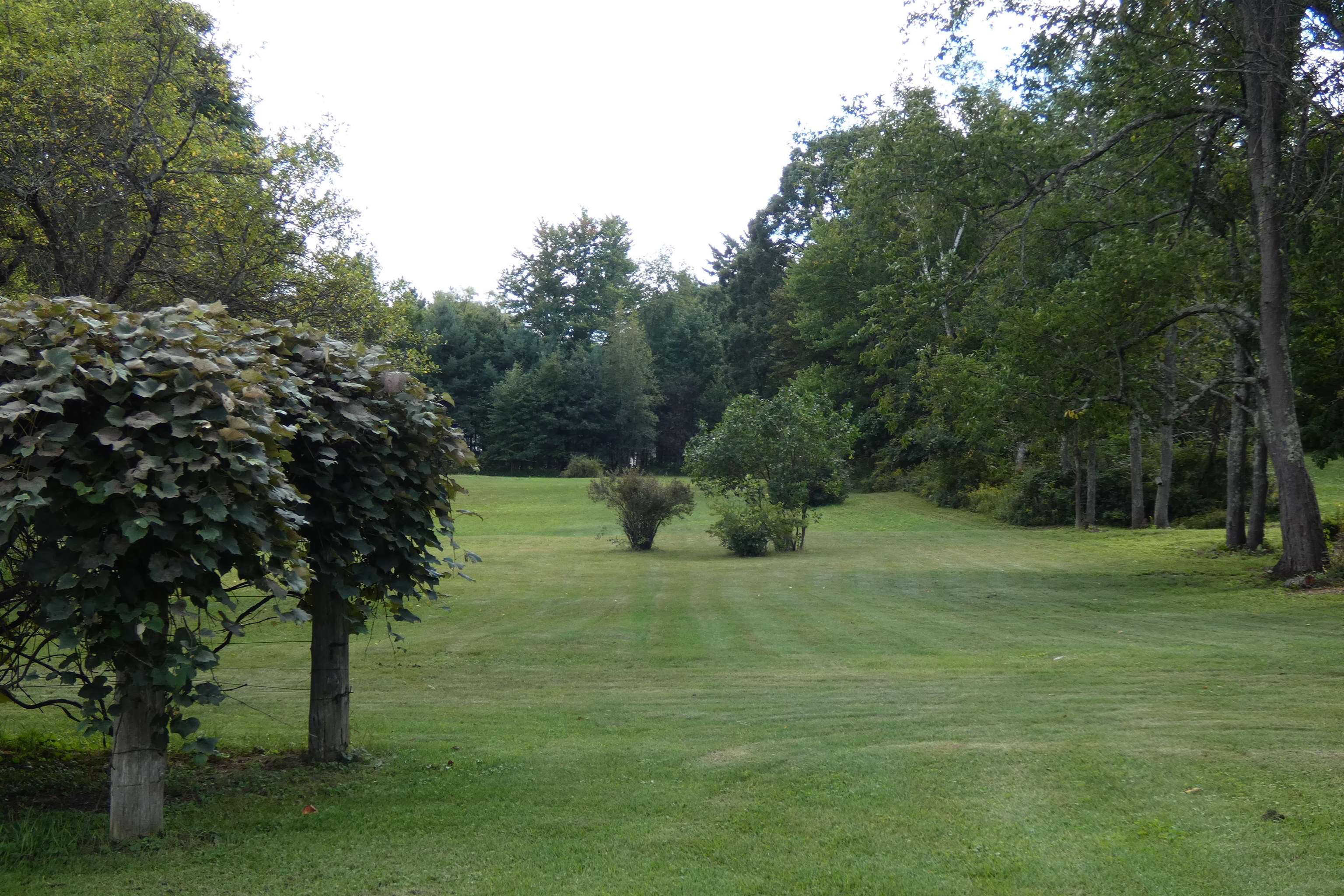 547 Lower Plains Road Salisbury, VT 05769 - Photo 5 of 39