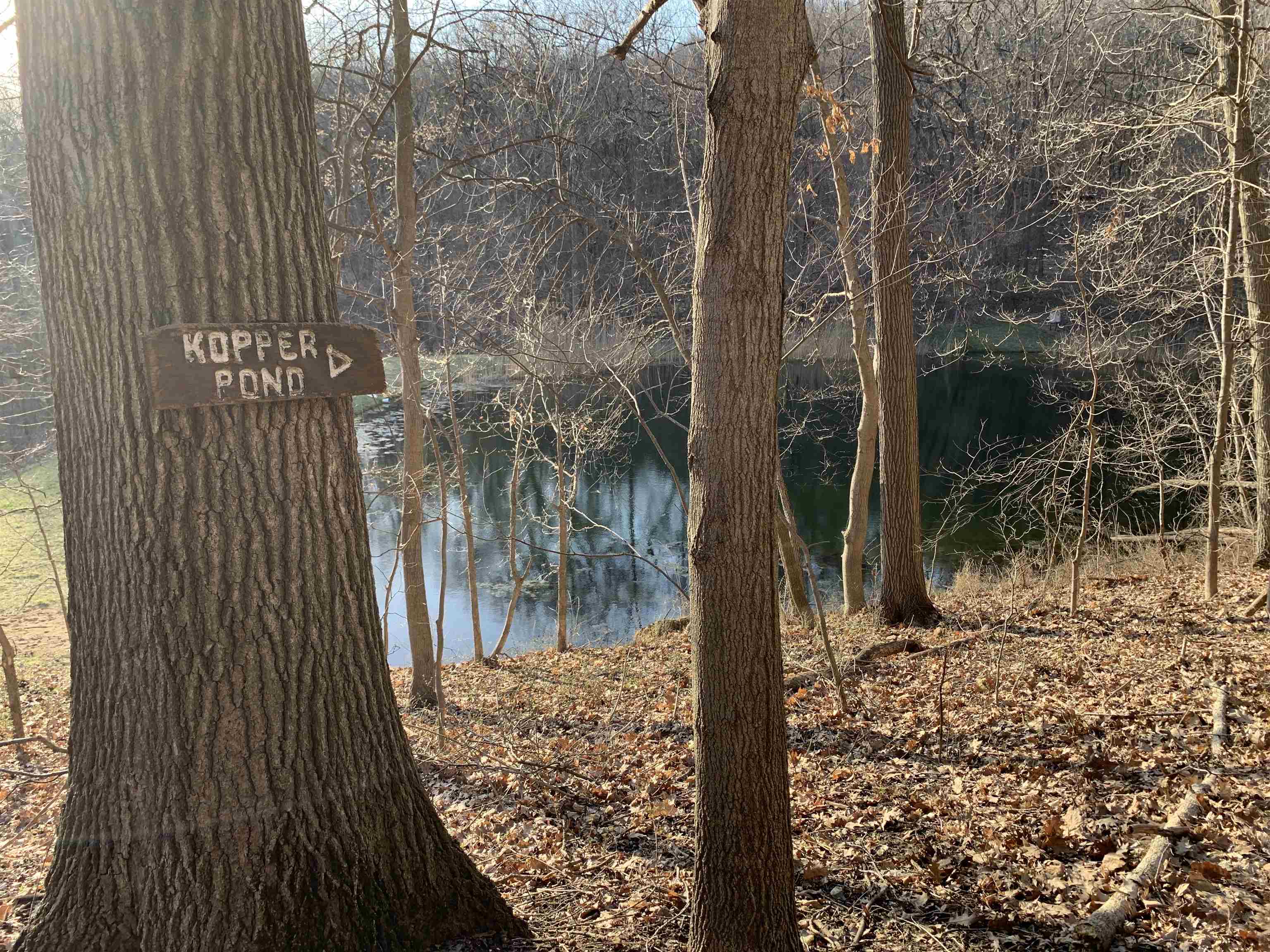 8616 Fisher Road Hanover, IL 61041 - Photo 74 of 74