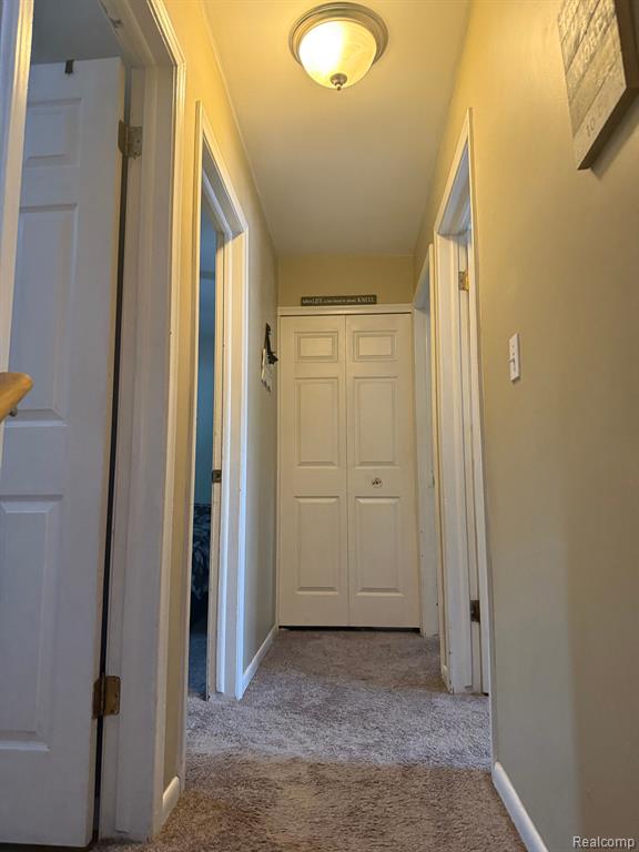 5023 Laur Road North Branch, MI 48461 - Photo 19 of 34